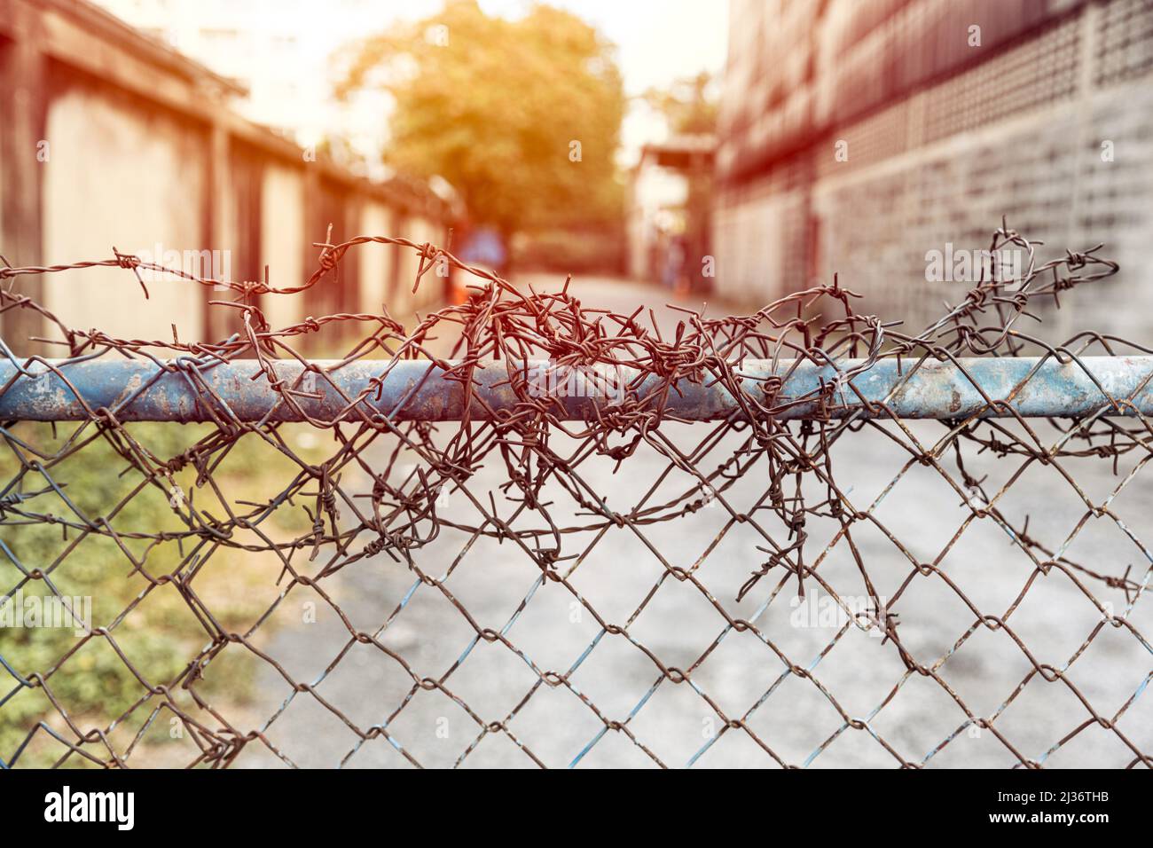 Barbed wire entrance fences prevent intruders from entering restricted areas. Stock Photo