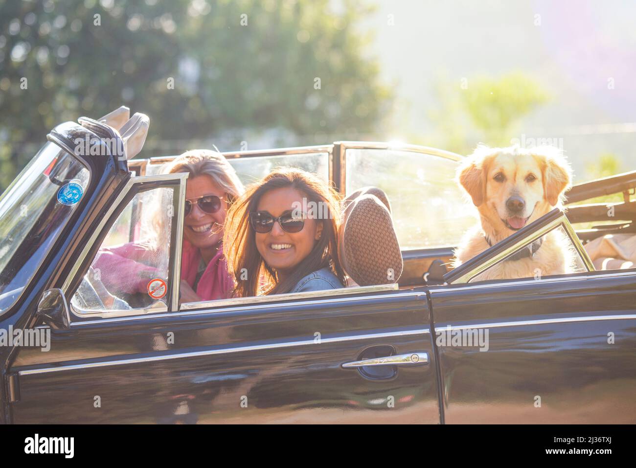 Female friends take a road trip in a classic VW Beetle with their dog Stock Photo