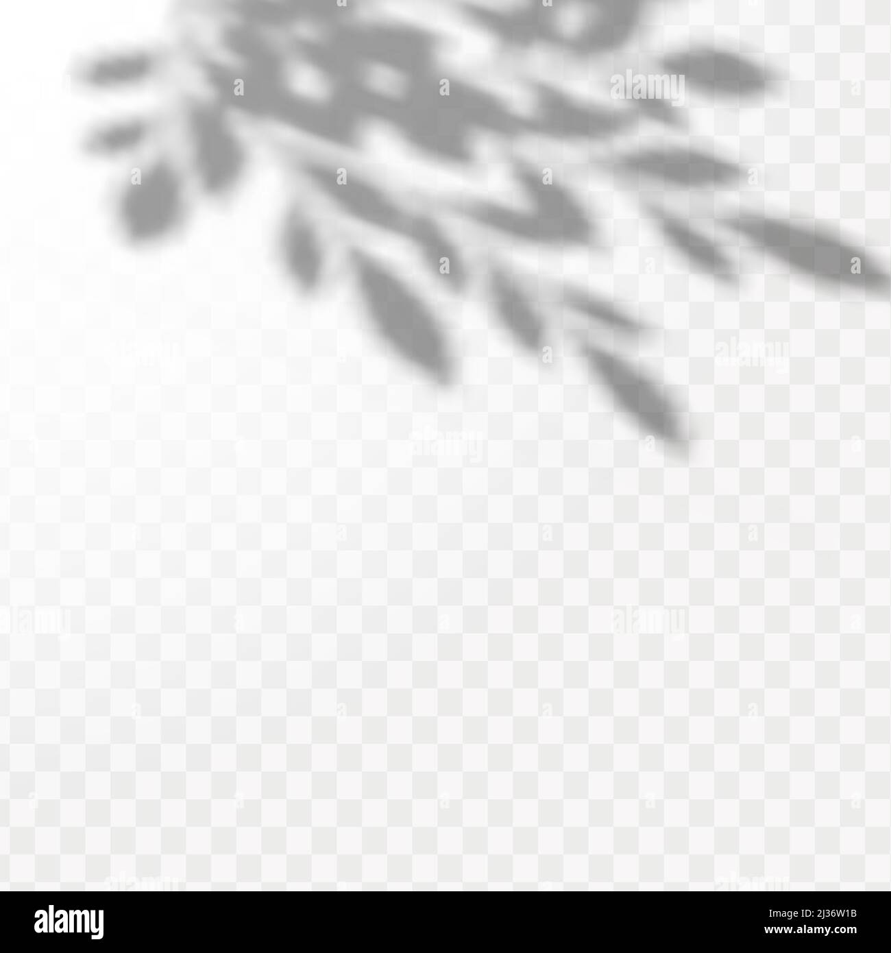 The effect of overlaying shadows. Natural light layout.Realistic shadow ...