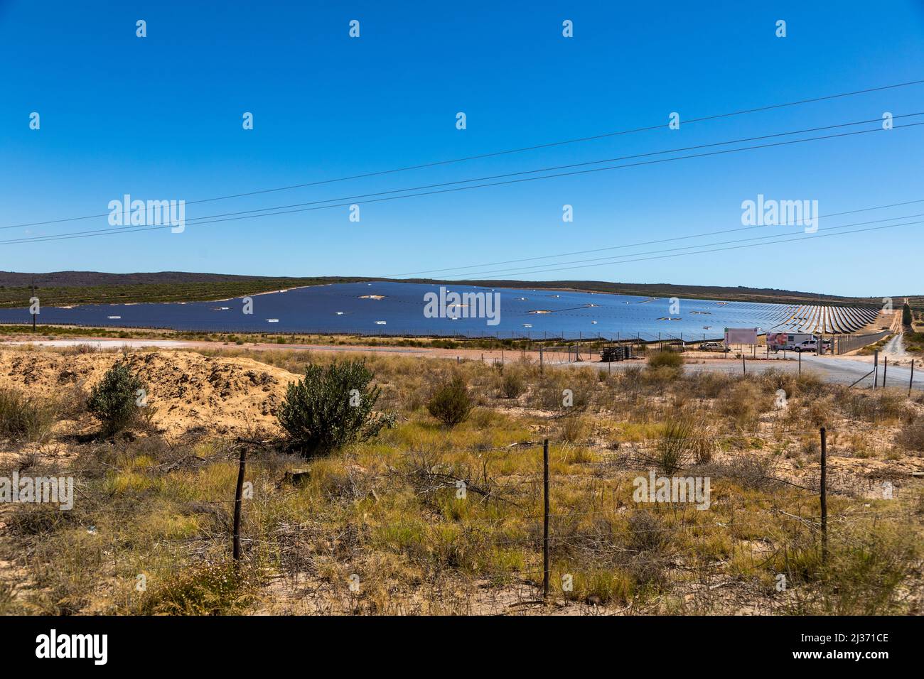 Semi desert area with a large arrya of Solar panels in the background. Bright sunny day with blue skies Stock Photo