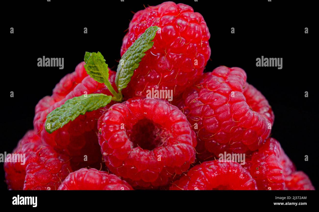 Raspberries on a black background. Fresh, firm and tasty berries. Raw vegan summer snacks, forest berries. Stock Photo