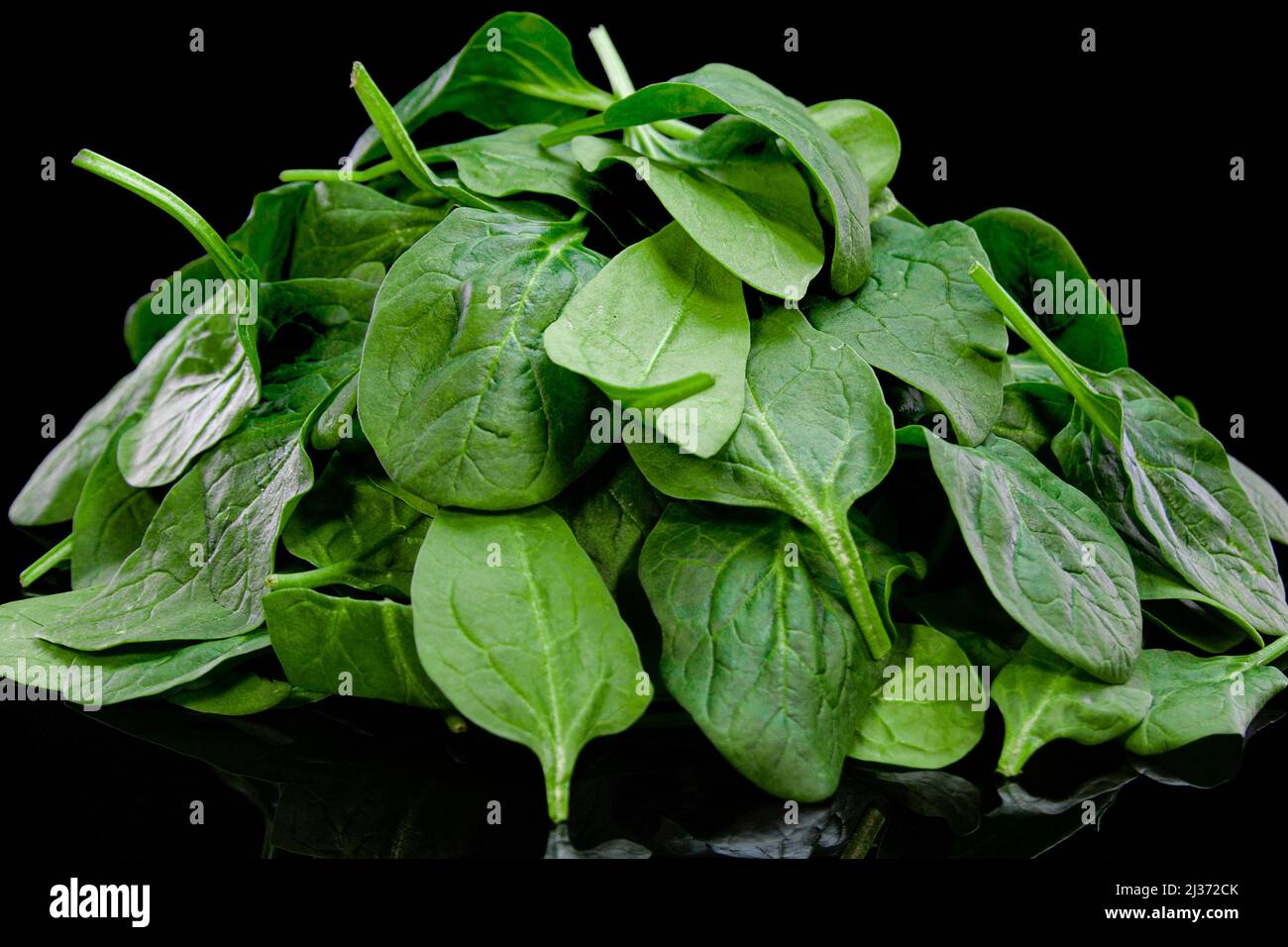 Fresh spinach leaves. Heap of vibrant green baby spinach leaves