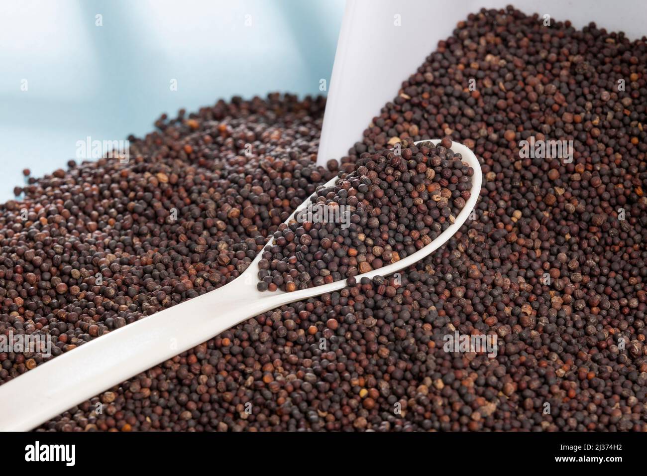Brassica Nigra - Black Mustard Seeds Or Ajenabe Stock Photo