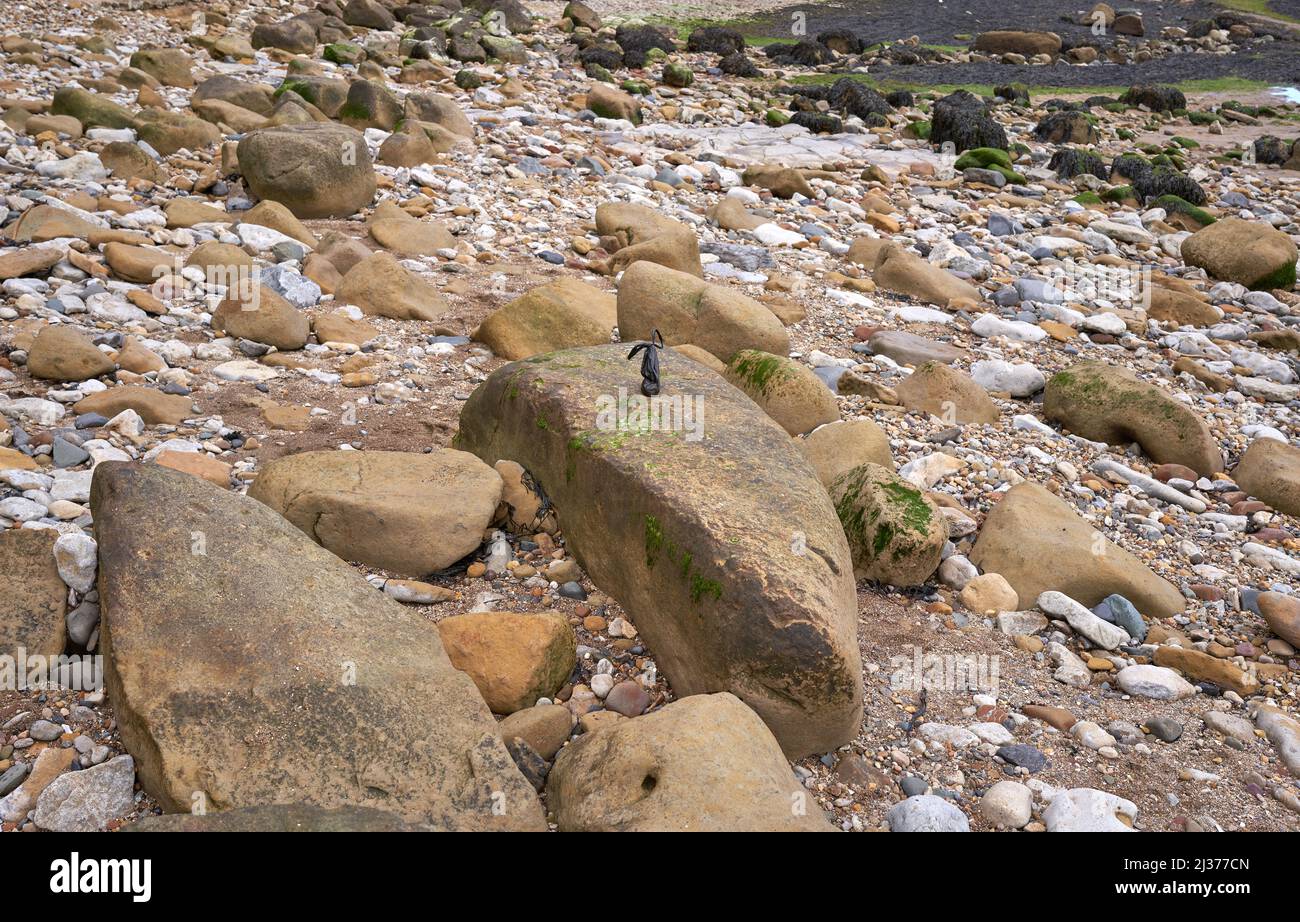 Black dog poo bag left on a rock on a beach Stock Photo