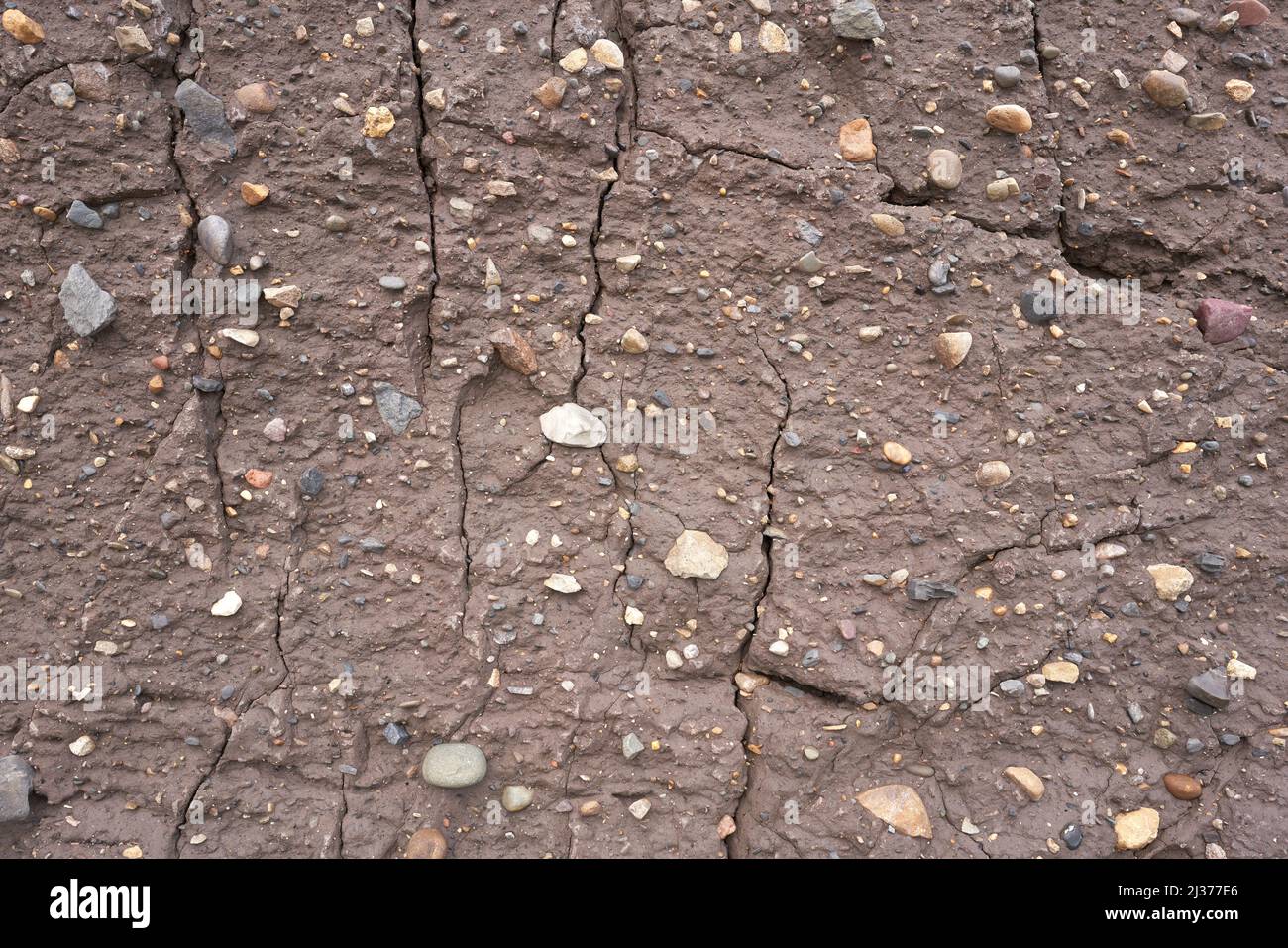 Stones embedded in a clay cliff face Stock Photo