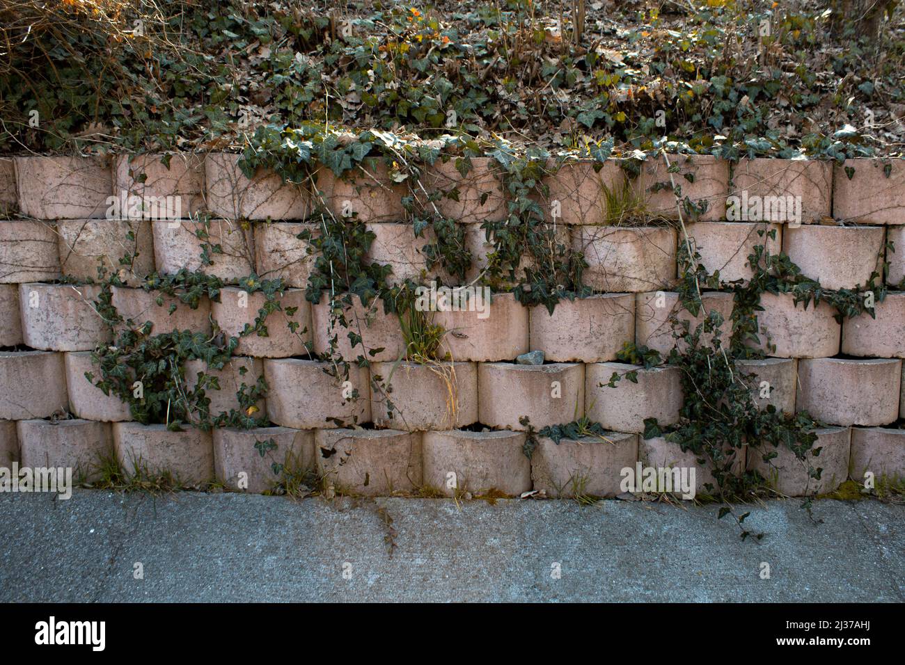 Stone brick garden wall, landscape with green grasses, rock texture and plants, front view Stock Photo