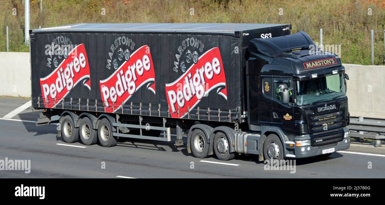 Front & side of Marstons British pub hotel business lorry truck & articulated curtain trailer advertising Pedigree beer brand driving on UK motorway Stock Photo