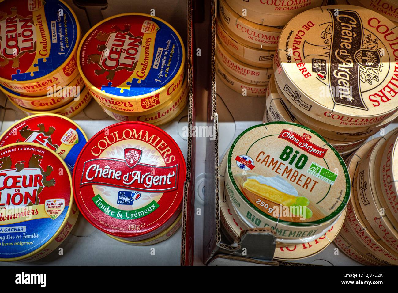 France.Food- ''Coulommier'' and ''Camembert'' cheeses. Stock Photo