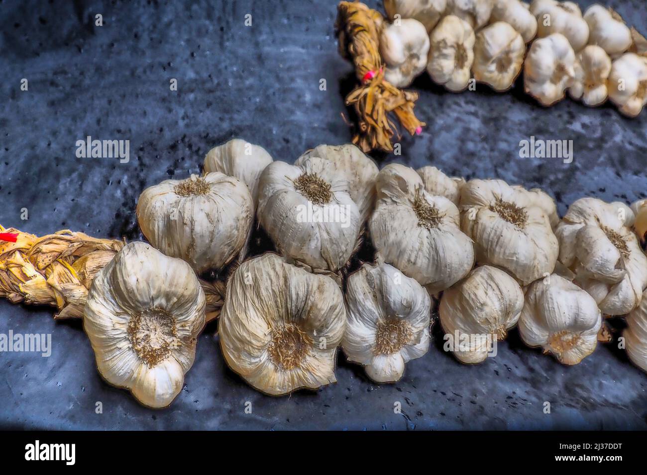 France, Occitanie, Tarn et Garonne, the famed ''white garlic'',at the open aair saturday market, under the XIVc. hall at Beaumont de Lomagne, world Stock Photo