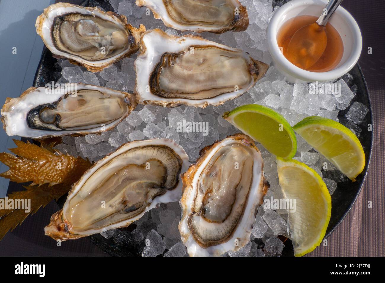 Francce=Nouvelle Aquitaine=Gironde= fOOD= Oysters from Bassin dç Arcachon,, at Porrt de Larros at Gujean maestras. Stock Photo