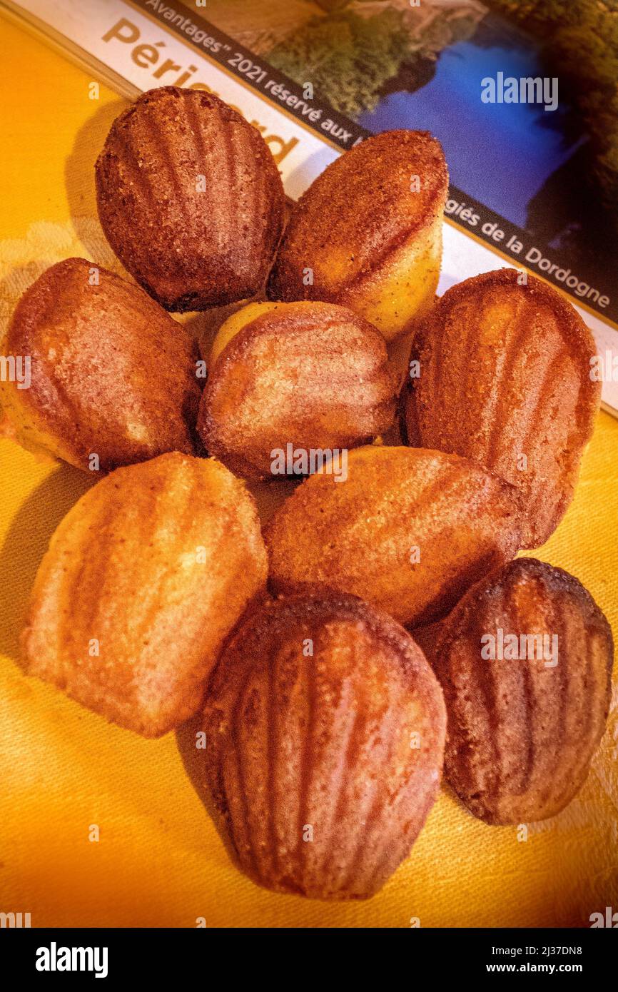 France-Nouvelle Aquitaine-Haute Vienne- the worlf famed ''Madelaine cakes from Saint Yrieix, withe the fprm of the Sain James shell...Pilgrimage way Stock Photo