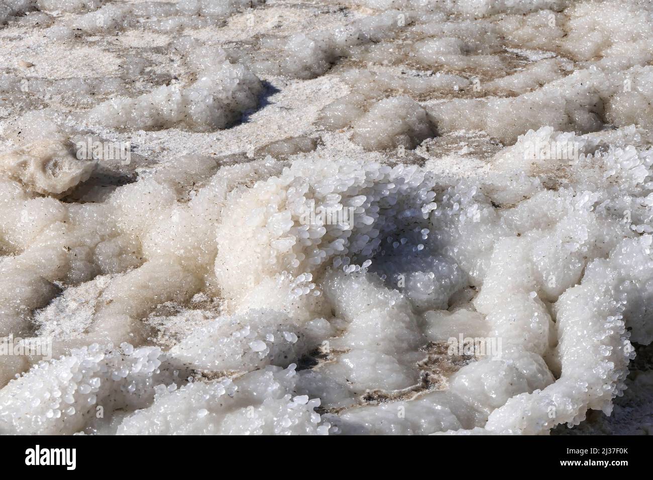 Round salt crystals of the Dead Sea close-up in the rays of the sun ...