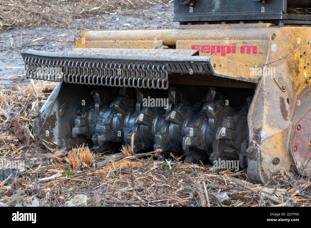 Forestry mulcher attachment for backhoe close up, land clearing heavy equipment Stock Photo