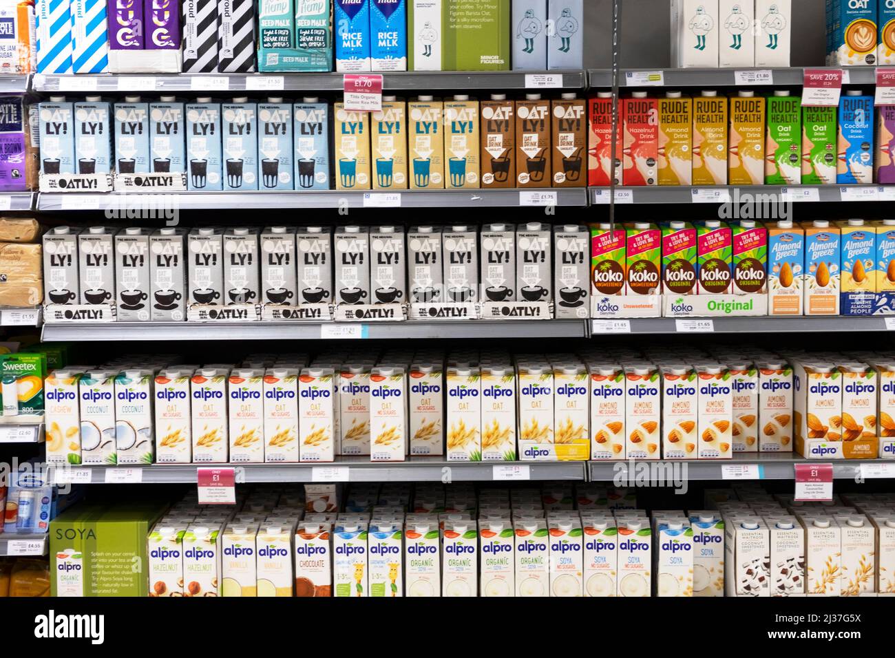 Rows row of milk alternatives plant-based dairy free for sale on Waitrose supermarket shelves shelf Oatly Alpro Koko Rude Health drinks London UK 2022 Stock Photo