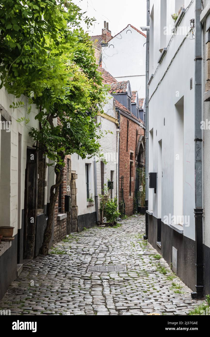Brussels Old Town - Belgium The narrow medieval Rue de la Cigogne - Ooievaarstraat - Stork street with cobble stones and tiny houses. Stock Photo