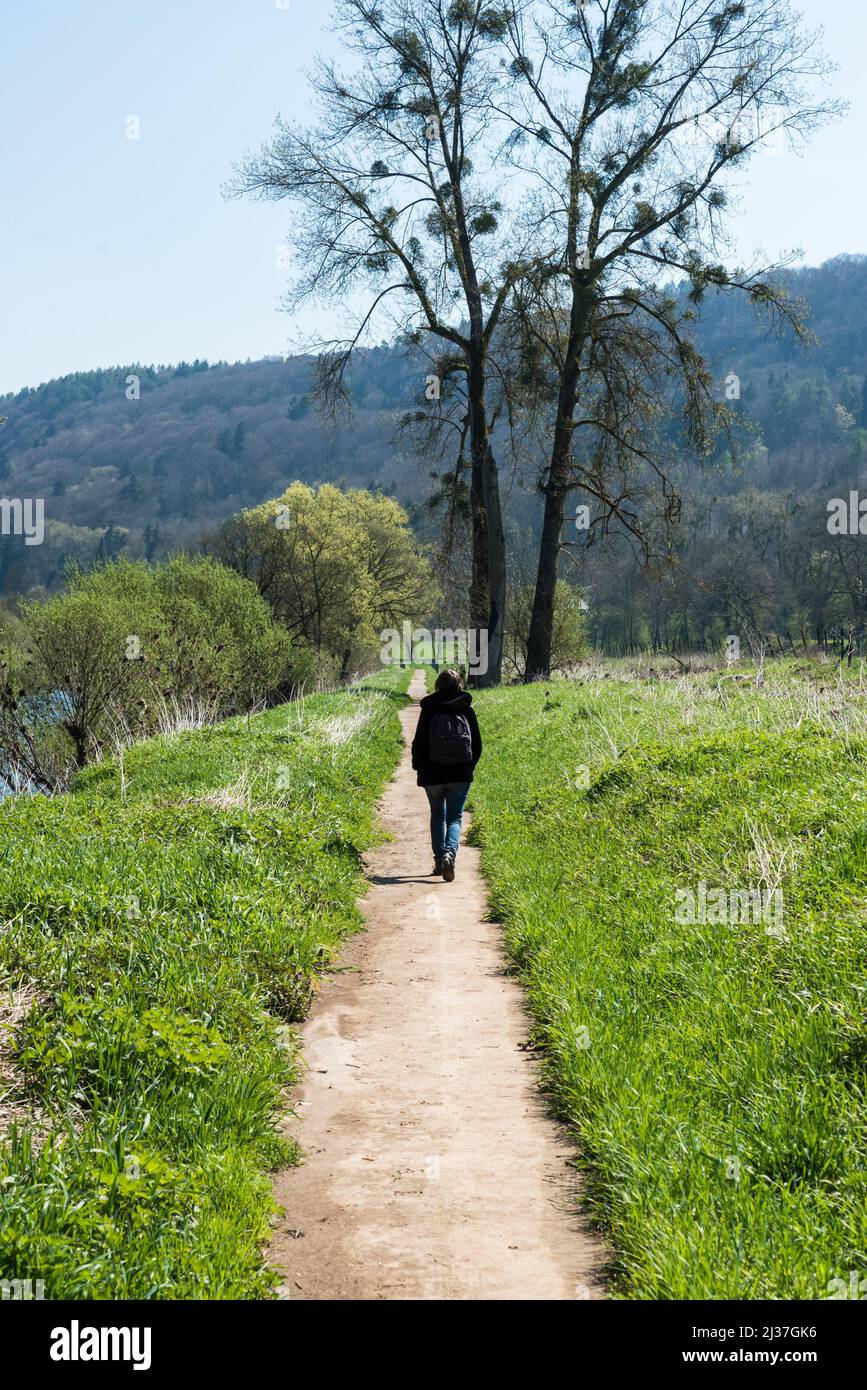 Woman with small backpack on a walking trail along the banks of the Sauer river, the border between the Grand Duchy of Luxembourg and Germany. Stock Photo
