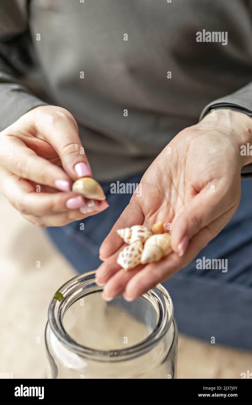 Women's hands hold seashells. Puts the shells in a glass jar. Beach ...