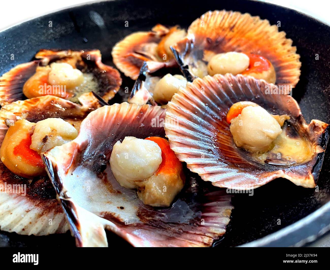 Fresh caught scallops hires stock photography and images Alamy