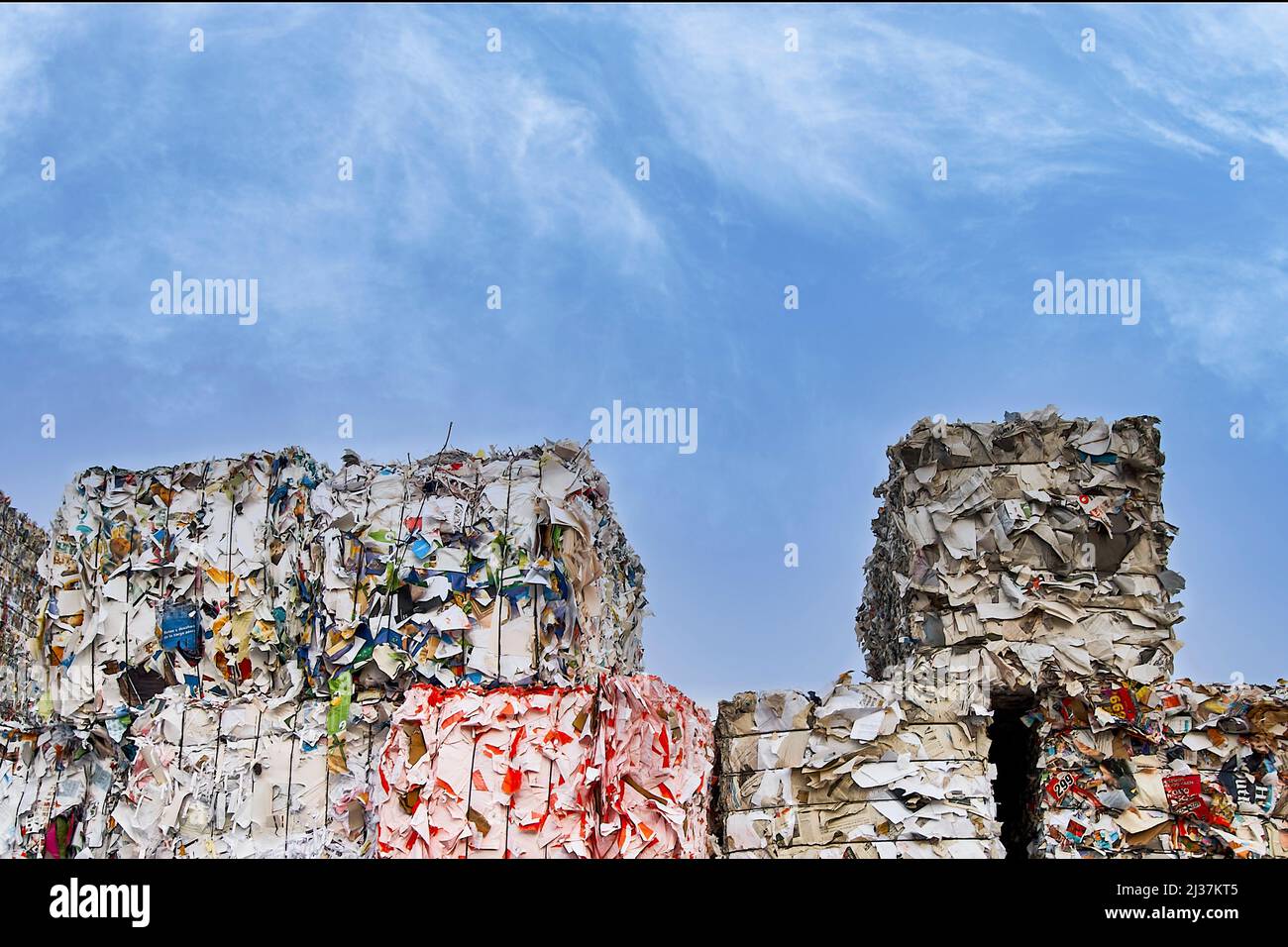 Pressed paper and cardboard in a paper recycling plant Stock Photo Alamy