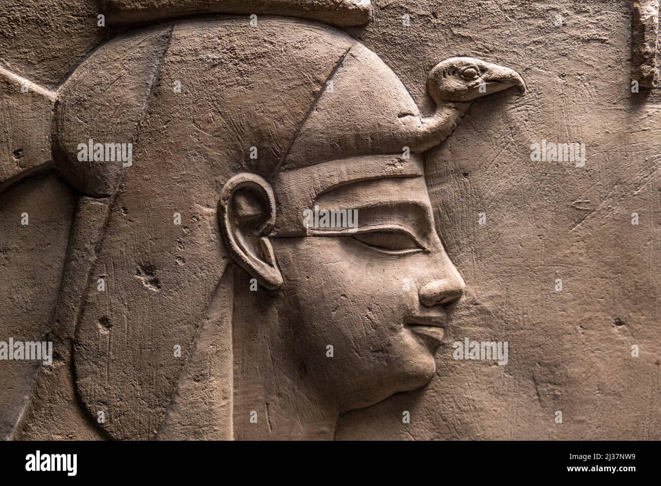 Ptolemy xii hi-res stock photography and images - Alamy