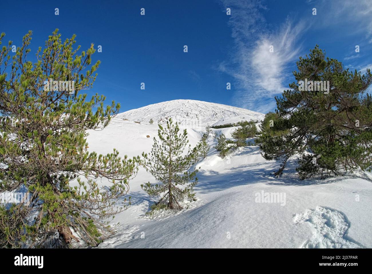 snow covered slopes in Etna Park to climb to the top, Sicily Stock Photo