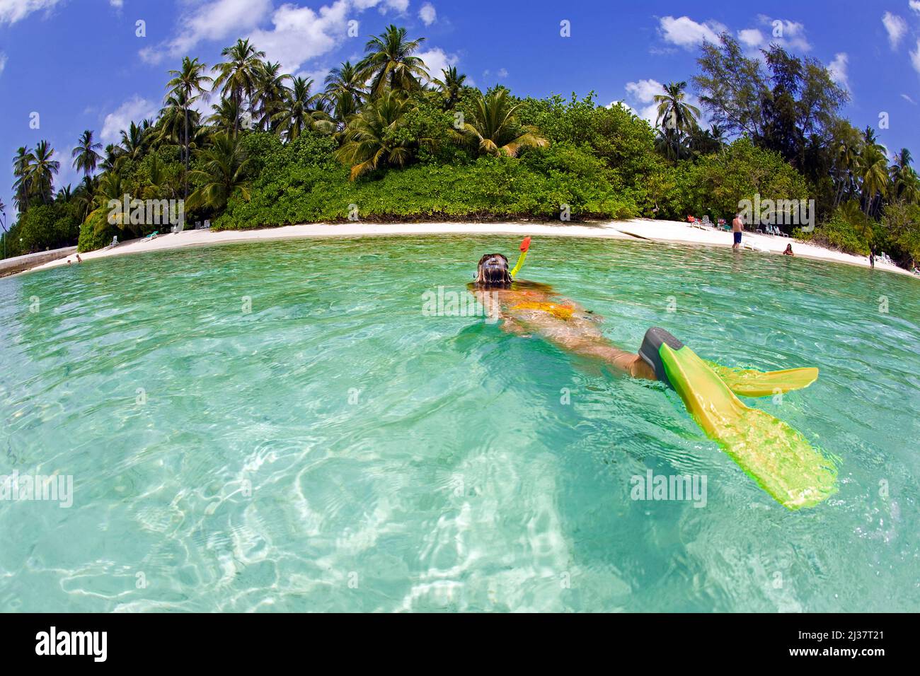 Snorkeler snorkeling hi-res stock photography and images - Alamy
