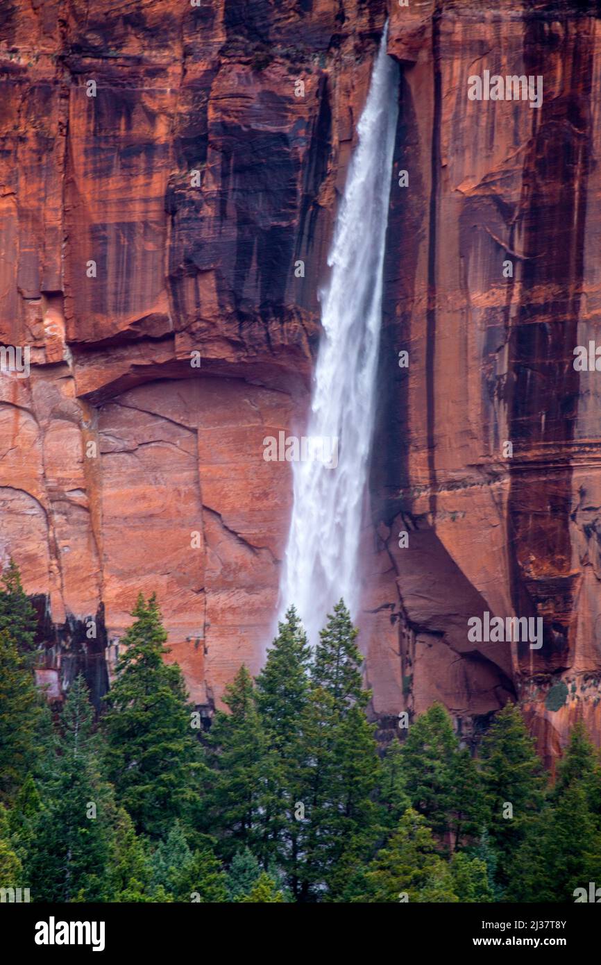 Seasonal rains produce ephemeral waterfalls at Zion National Park, Utah. Stock Photo