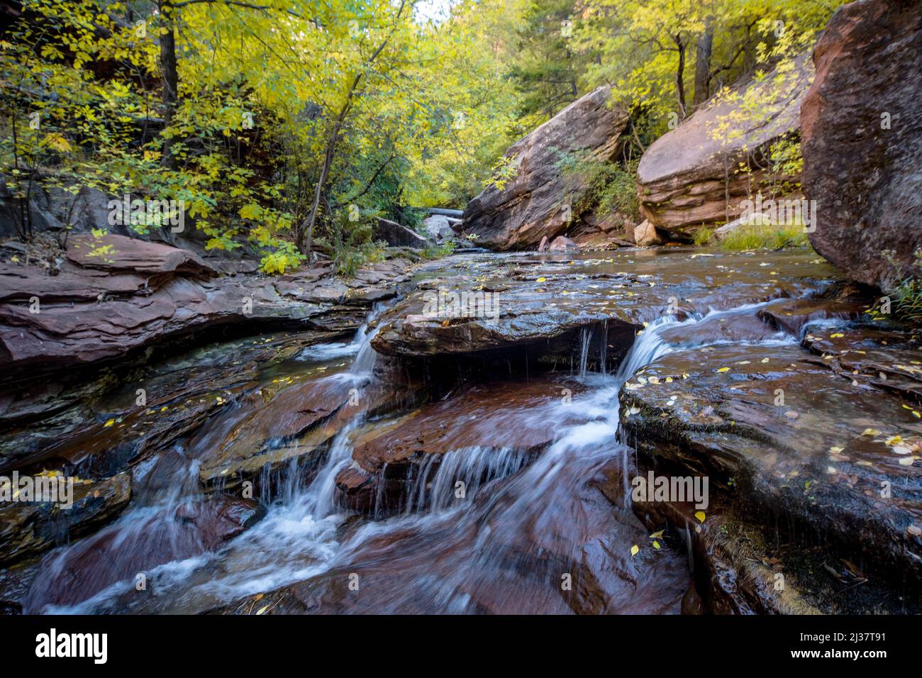 Fall colors have arrived at Zion National Parkâ.s North Creek. Stock Photo