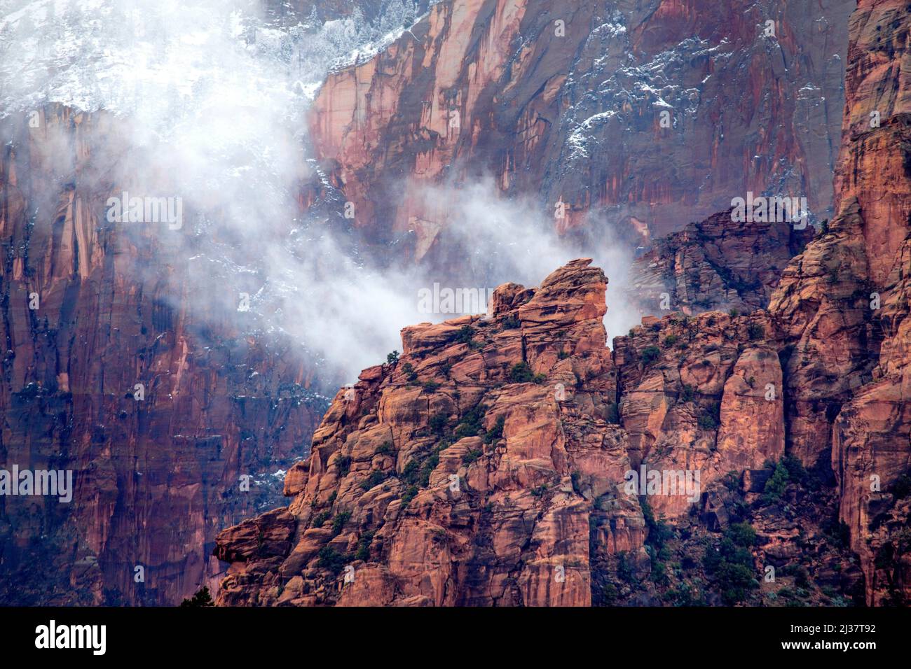 Rain clouds and fog have enveloped Zion Canyon at Zion Canyon National Park, Utah. Stock Photo