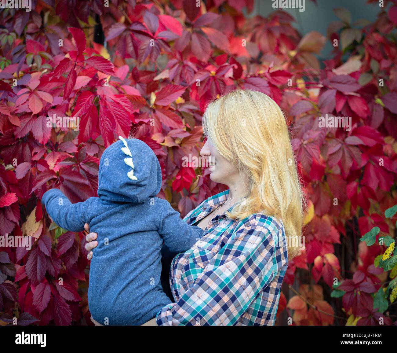 A young beautiful mother shows her baby red leaves on a bush. Walk in summer. Stock Photo