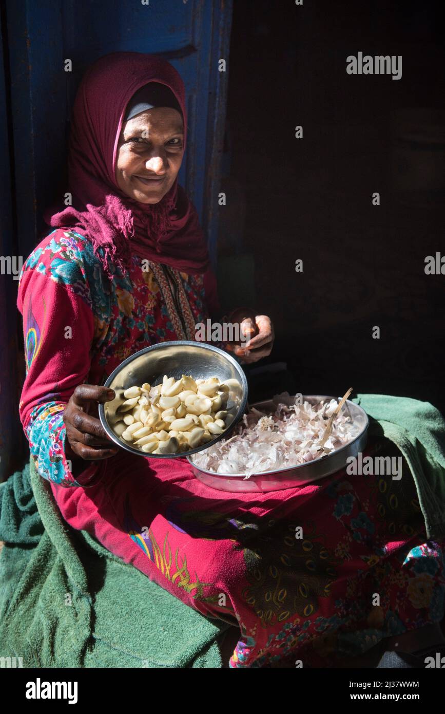 Woman sitting on her doorstep peeling garlic, village of Ramadi, west bank of the Nile south of Edfu, Egypt, North East Africa. Stock Photo