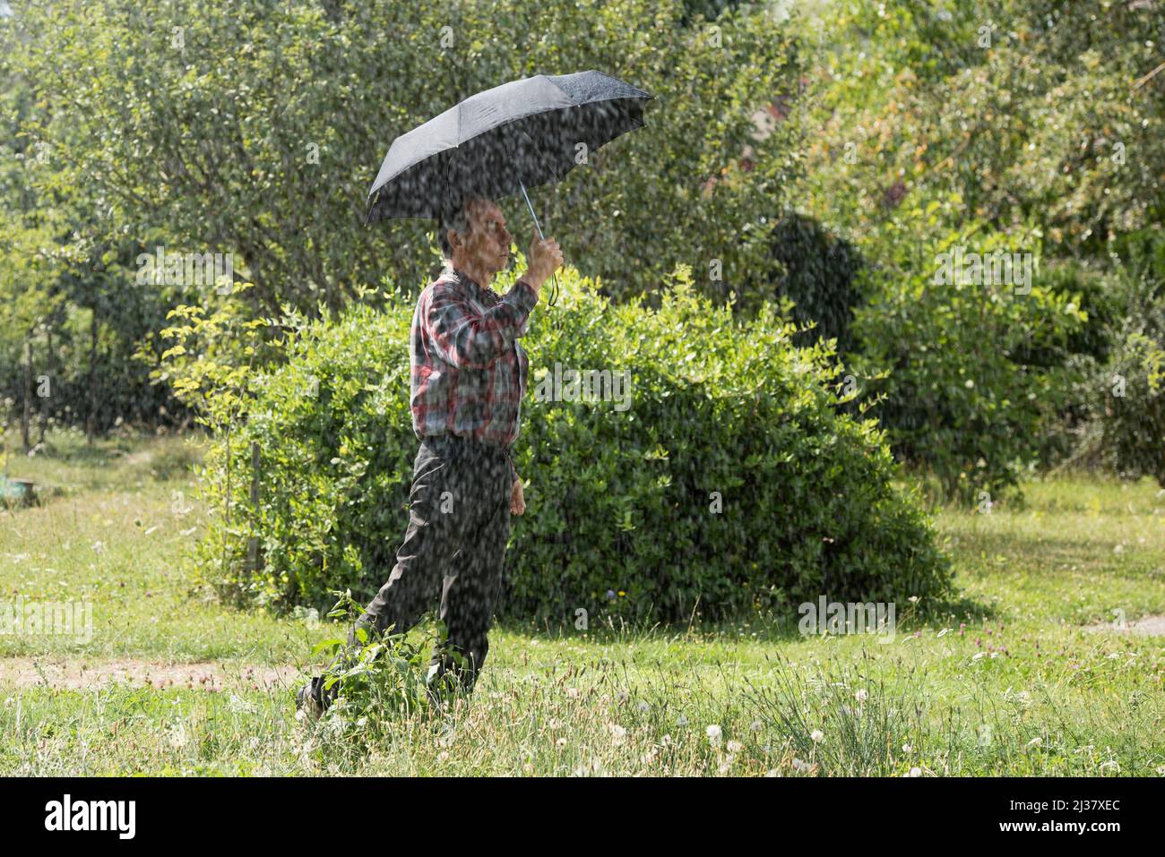 Man in the rain with an umbrella in a garden of IledeFrance region
