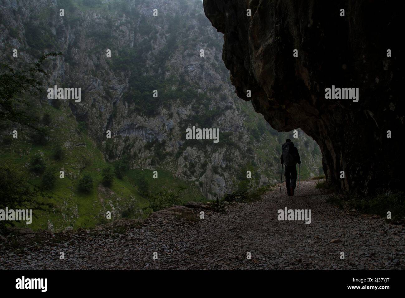 Hiker walks along the trail in the cliffs near the edge in a foggy rainy day Stock Photo