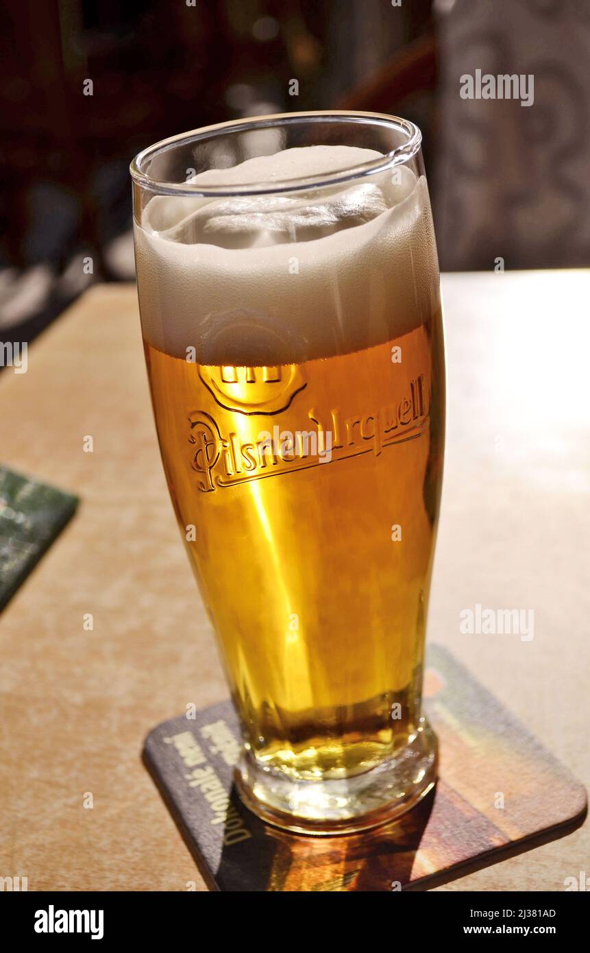 Pilsner Urquell beer in glass (half pint) on the restaurant table