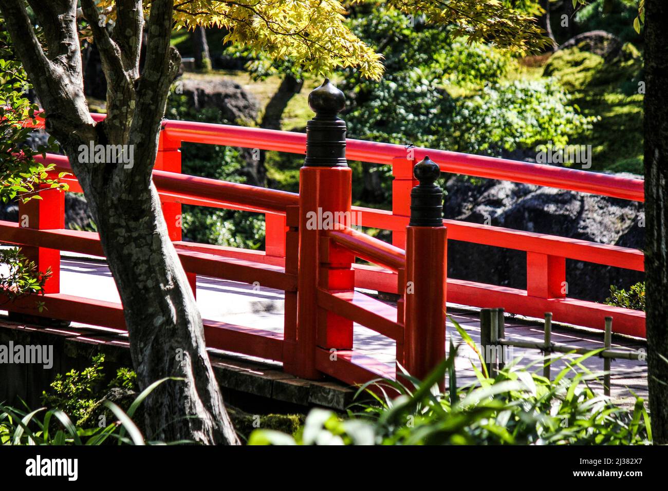 Red bridge. Yuushien Japanese Garden. Daikonshima Island, Matsue
