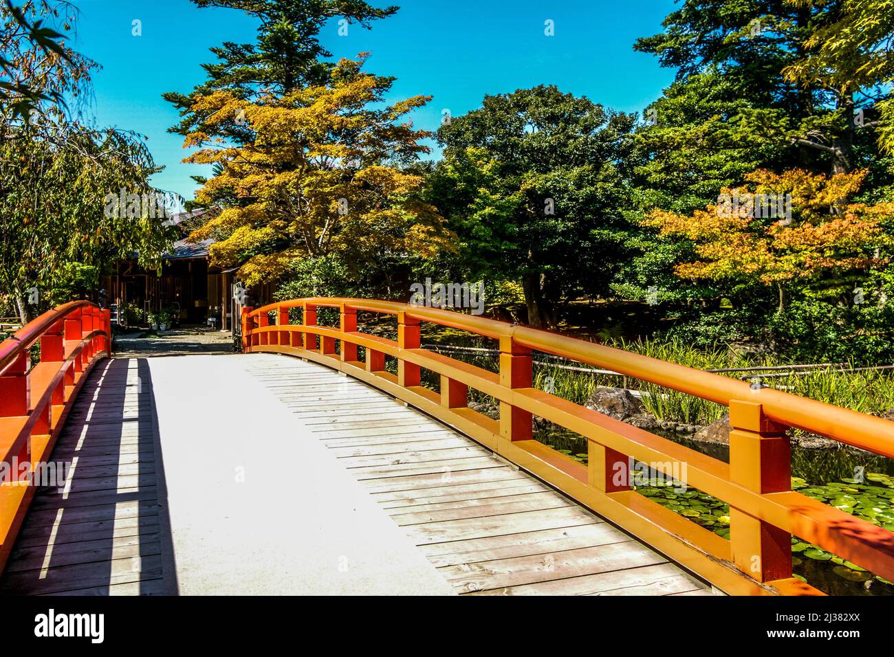 Red bridge. Yuushien Japanese Garden. Daikonshima Island, Matsue