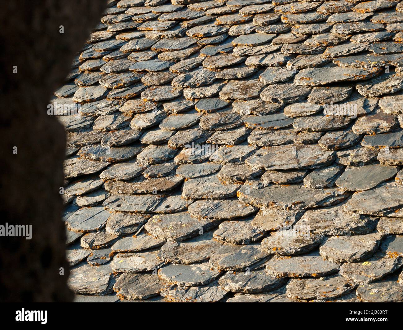 Repetitive pattern. Typical ''pizarra'' stone (slate) roof of Pyrenees Mountains buildings. Taüil village. Boí Valley, near Aiguestortes National Stock Photo