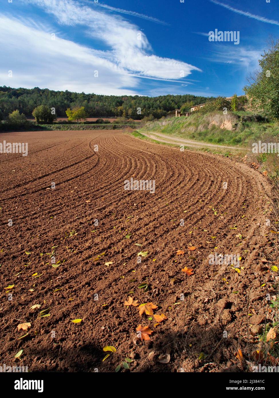 Plowed field. Autumn at Olost village countryside. Lluçanès region, Barcelona province, Catalonia, Spain. Stock Photo