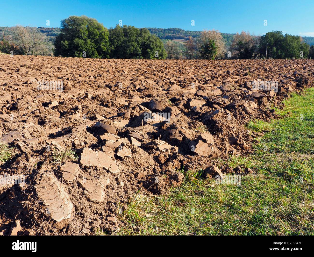 Plowed field. Sant Martí d'Albars village countryside. Lluçanès region, Barcelona province, Catalonia, Spain. Stock Photo