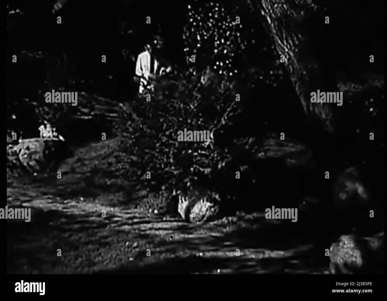 The Toll Of The Sea 1922 starring Anna May Wong directed by Chester M ...