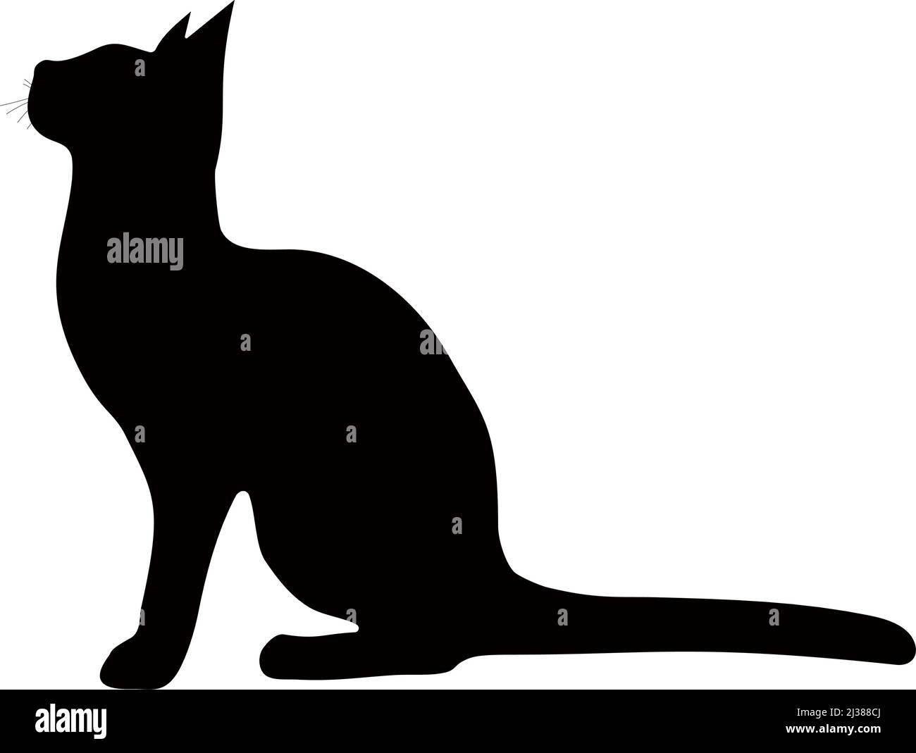 Black silhouette of a cat on a white background. Vector image Stock ...