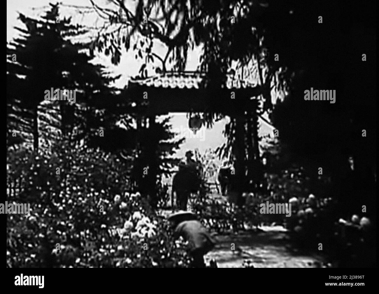 The Toll Of The Sea 1922 starring Anna May Wong directed by Chester M ...
