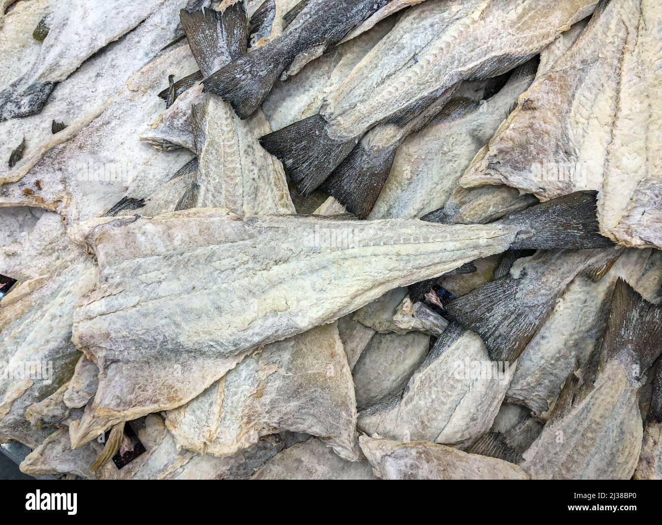 Raw salted cod, whole in the box Stock Photo Alamy