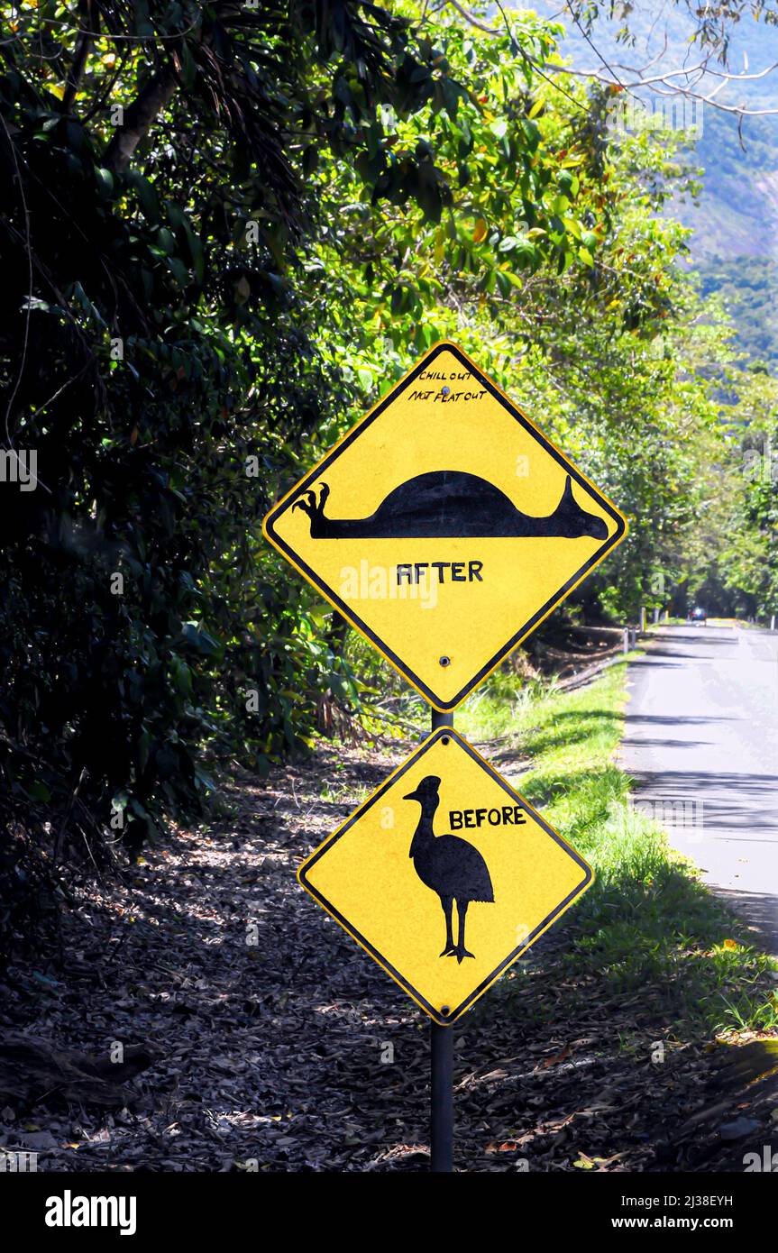 Motorists road sign ,a stark warning  of Cassowary birds crossing the road on the  main road to Cape Tribulation in Queenlands Daintree Rain Forest Stock Photo