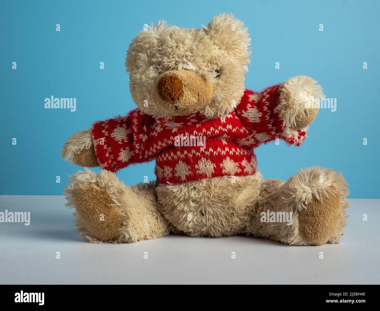 Teddy bear fluffy jumper shop