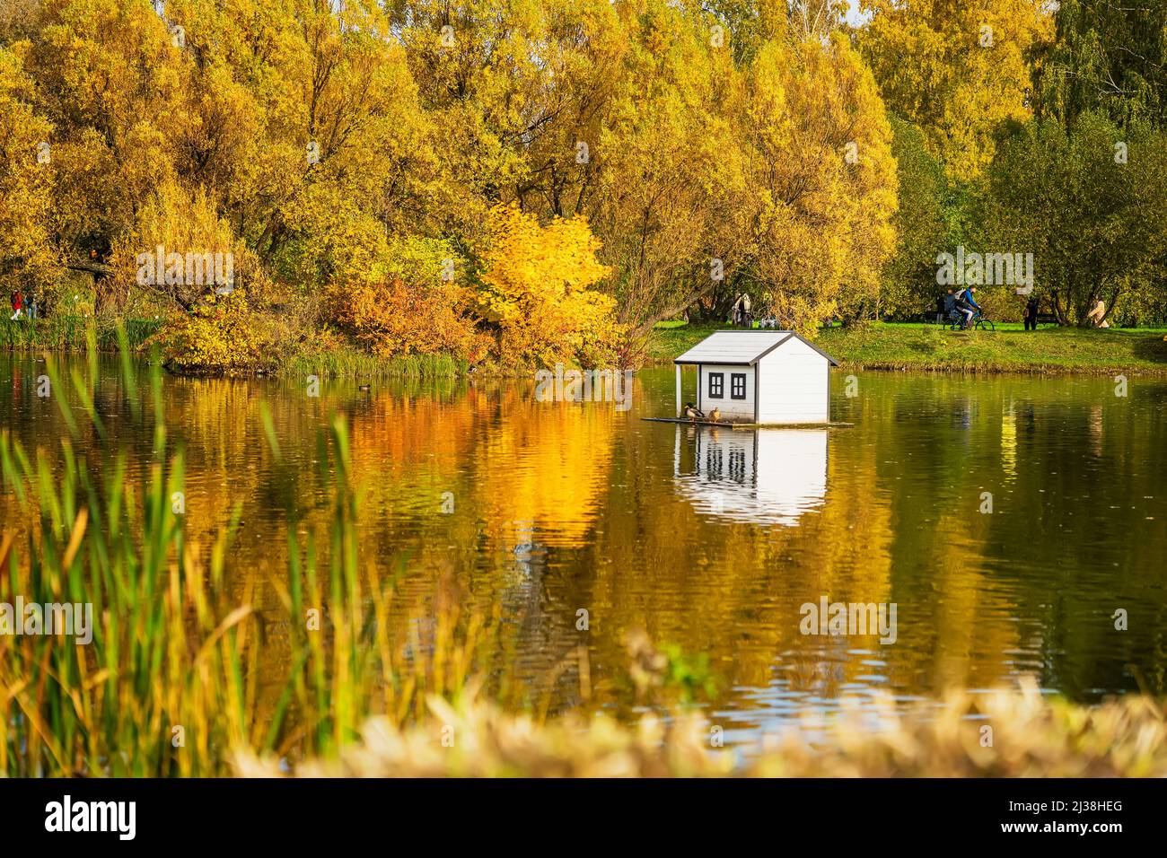 Duck house by pond hi-res stock photography and images - Alamy