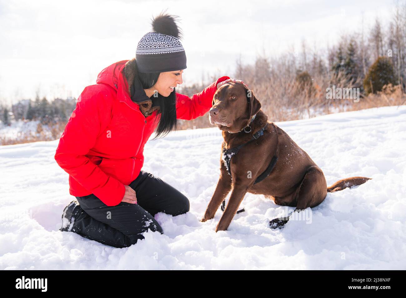 Portrait of a woman with labrador dog in winter season Stock Photo