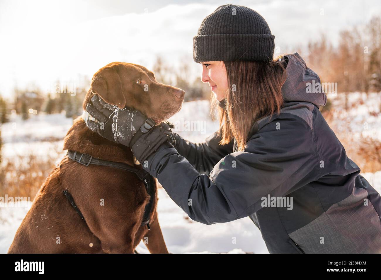 Portrait of little girl with labrador dog in winter season Stock Photo