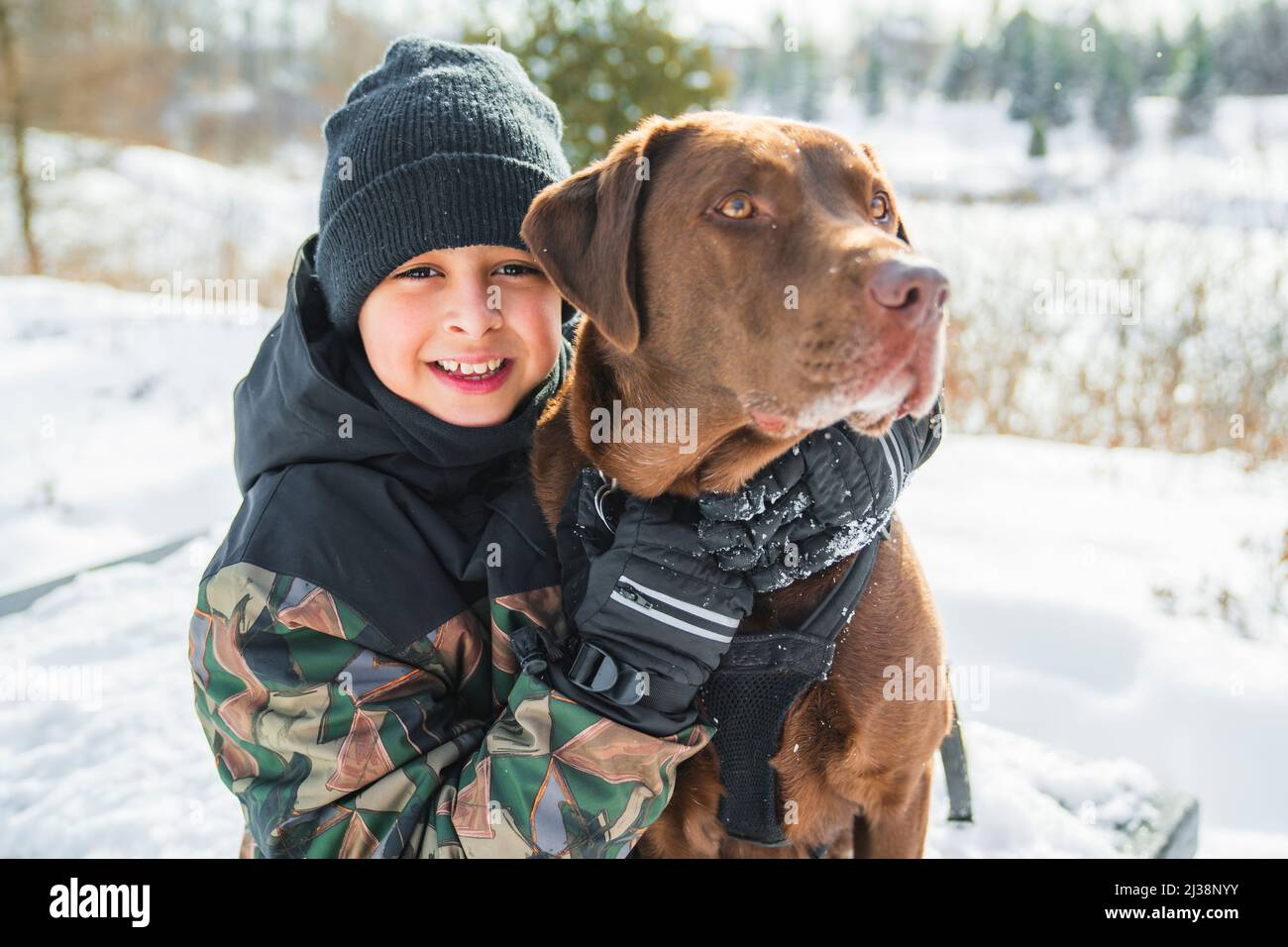 Portrait of little boy with labrador dog in winter season Stock Photo