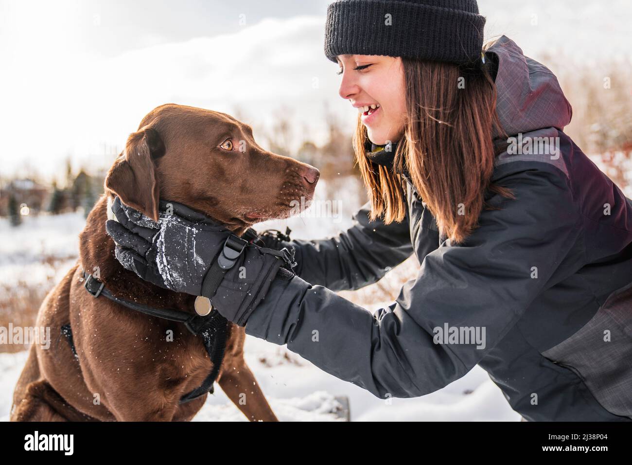 Portrait of little girl with labrador dog in winter season Stock Photo